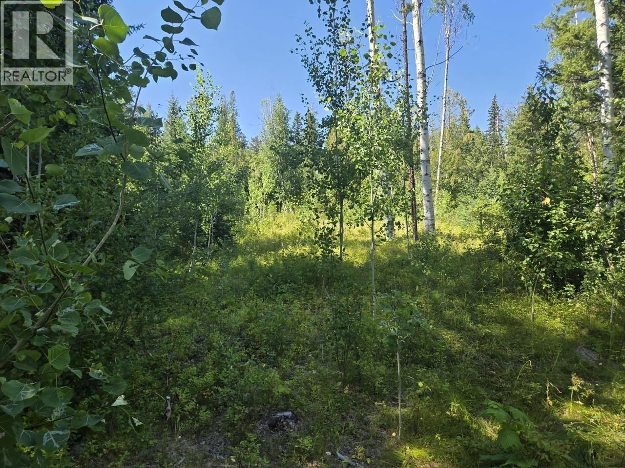3680 Miller Lake Fsr Forest, Falkland, British Columbia  V0E 1W1 - Photo 21 - 10400727