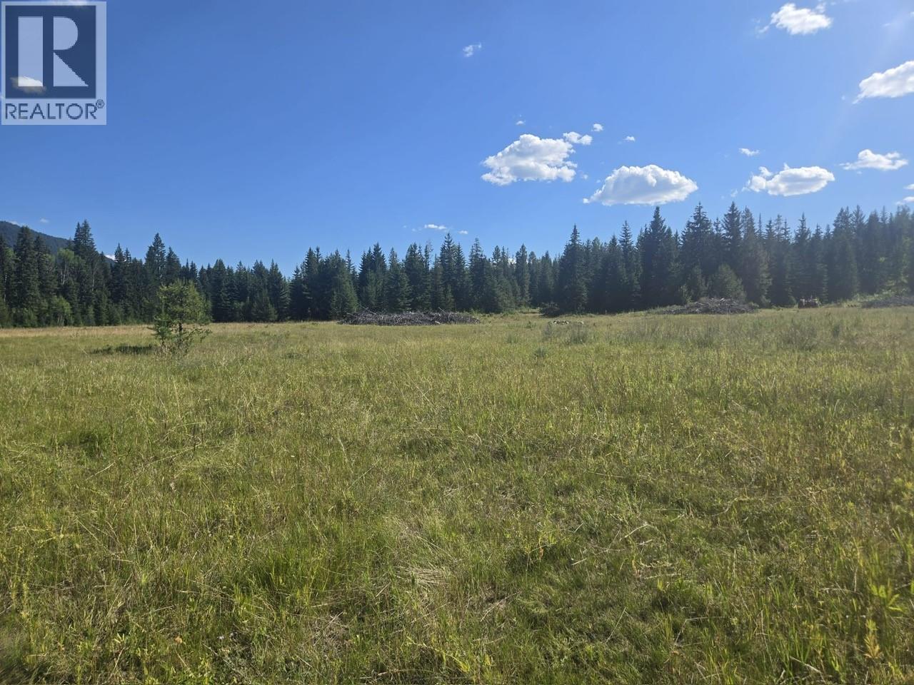 3680 Miller Lake Fsr Forest, Falkland, British Columbia  V0E 1W1 - Photo 22 - 10400727