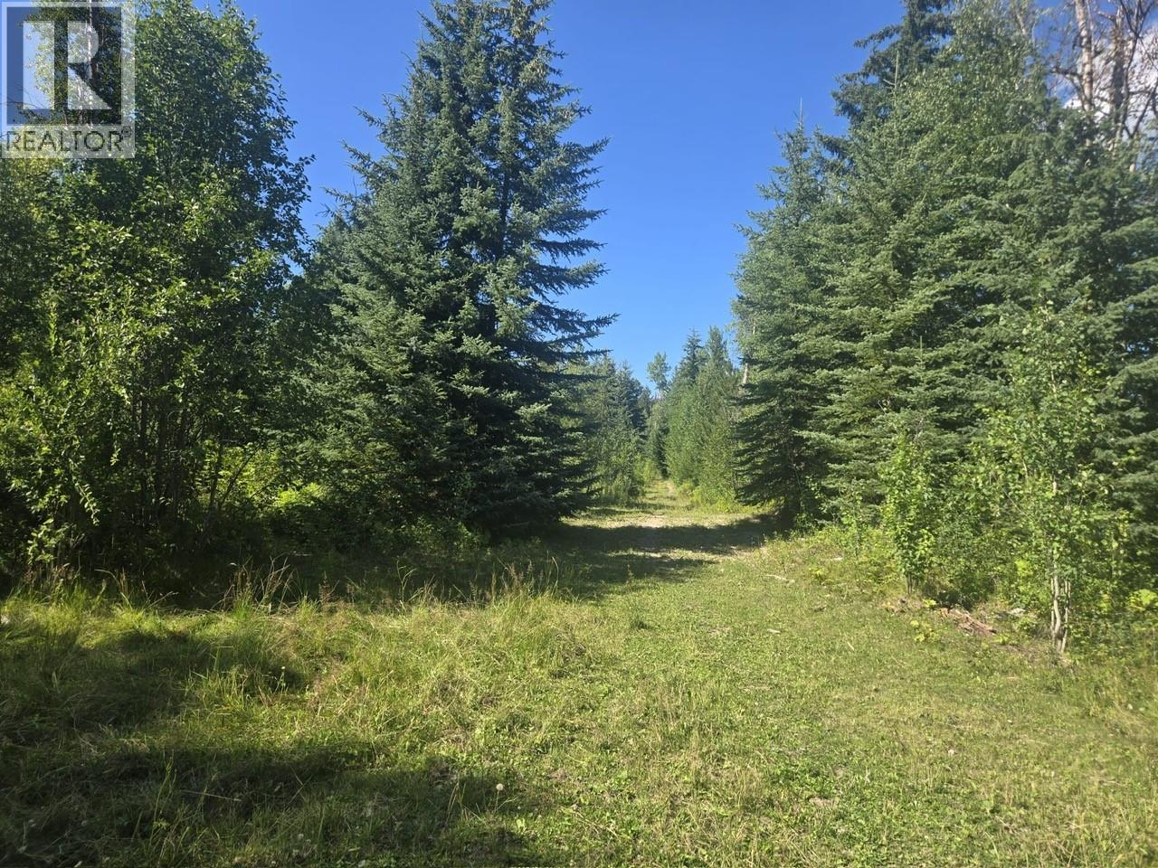 3680 Miller Lake Fsr Forest, Falkland, British Columbia  V0E 1W1 - Photo 23 - 10400727