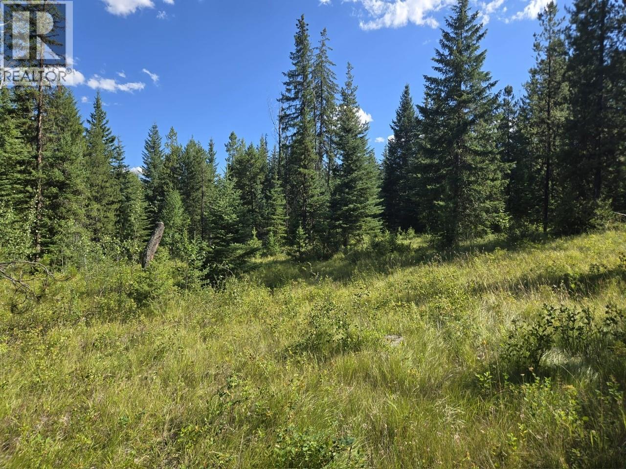 3680 Miller Lake Fsr Forest, Falkland, British Columbia  V0E 1W1 - Photo 3 - 10400727