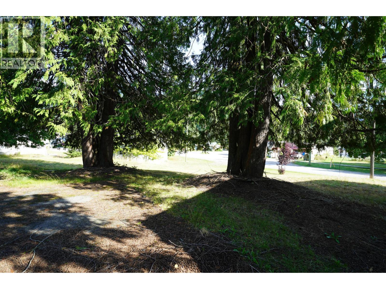 416 Slocan Avenue, New Denver, British Columbia  V0G 2B0 - Photo 22 - 10394895