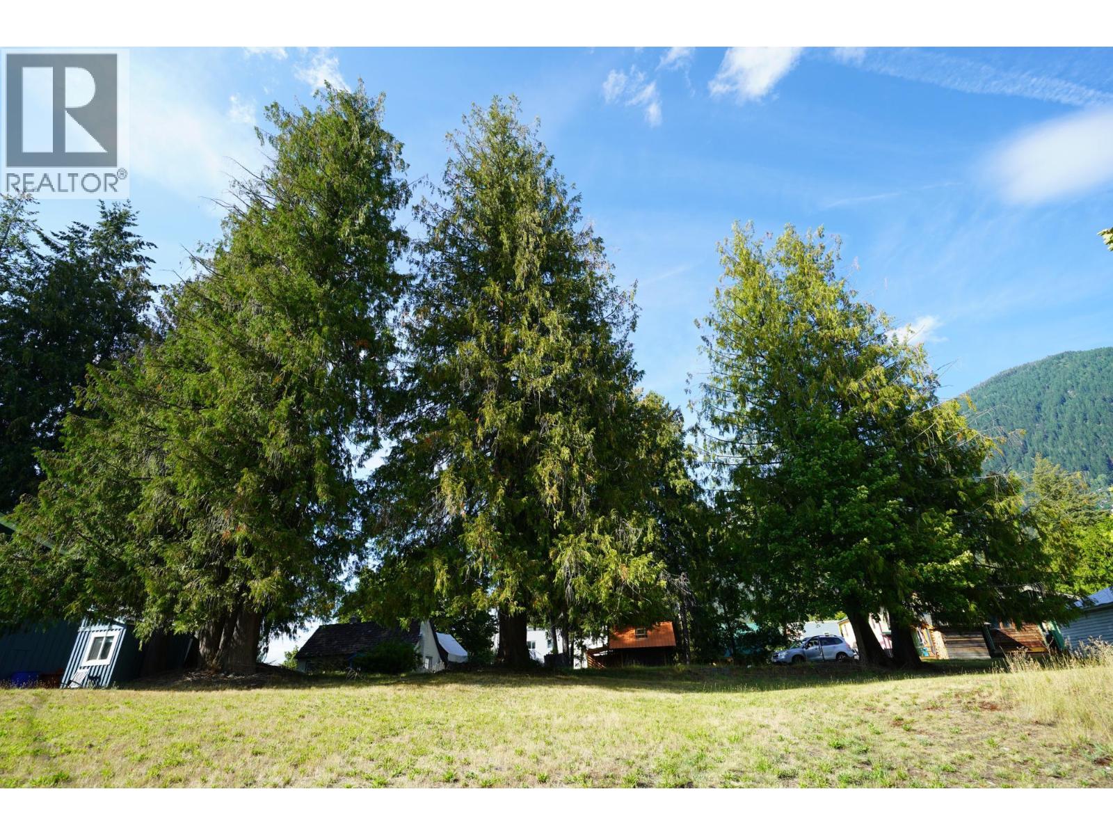 416 Slocan Avenue, New Denver, British Columbia  V0G 2B0 - Photo 17 - 10394895