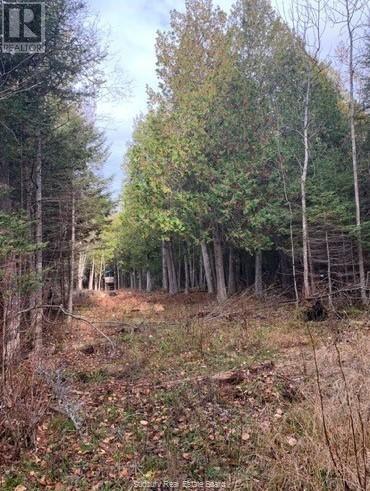 20751 Highway 6, Tehkummah, Ontario  P0P 1Z0 - Photo 10 - 2130348