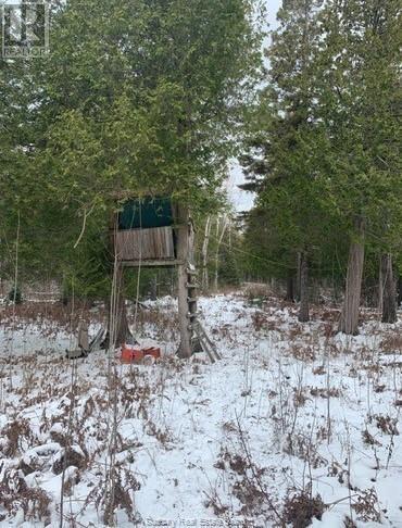 20751 Highway 6, Tehkummah, Ontario  P0P 1Z0 - Photo 11 - 2130348