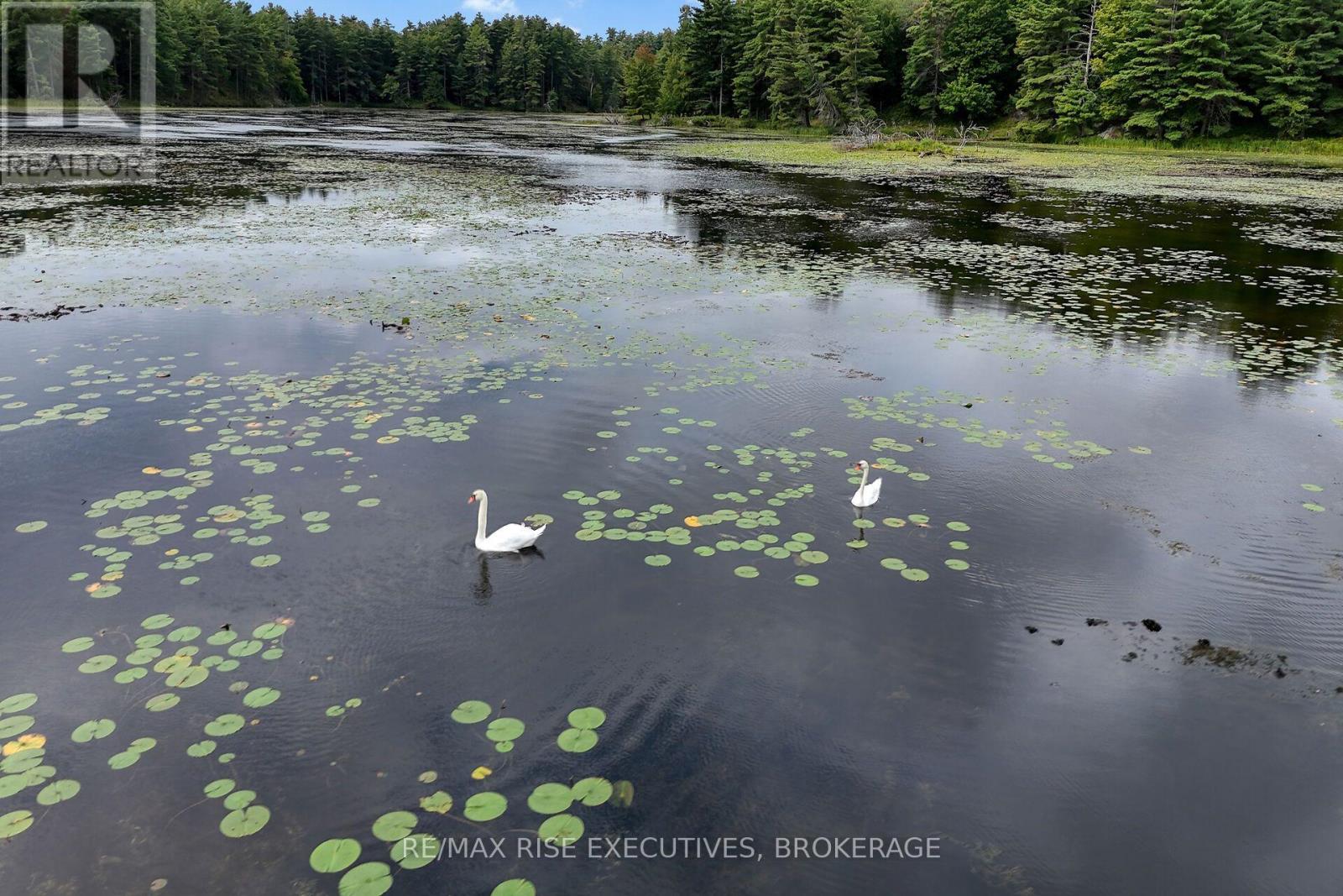 202 Deans Island Road, Rideau Lakes, Ontario  K0G 1V0 - Photo 46 - X13780818