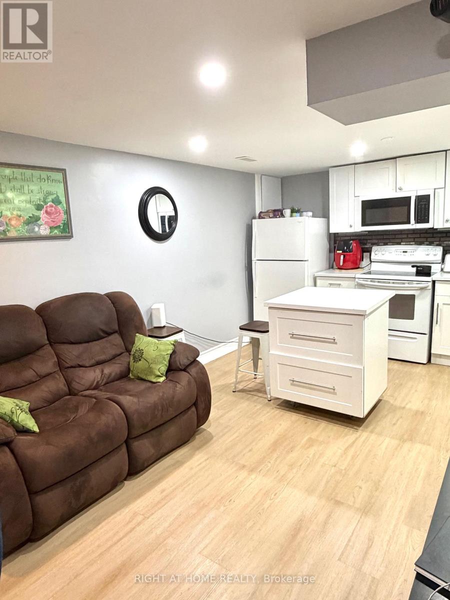 237 Homestead (Basement ) Crescent, London North, Ontario  N6G 2E7 - Photo 3 - X13780954