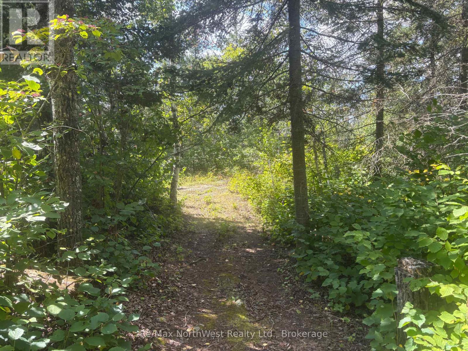 1 Andrew Bay, Sioux Narrows-Nestor Falls, Ontario  P0X 0A4 - Photo 29 - X13780698