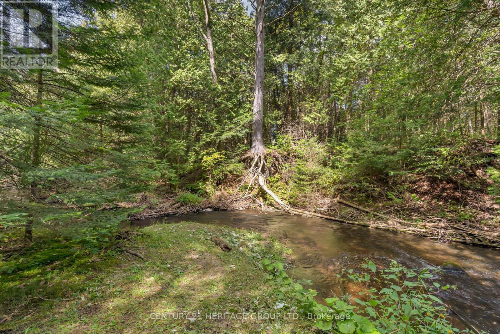 116 Mill Pond Side Road, Oro-Medonte, Ontario  L0K 1E0 - Photo 46 - S13780894
