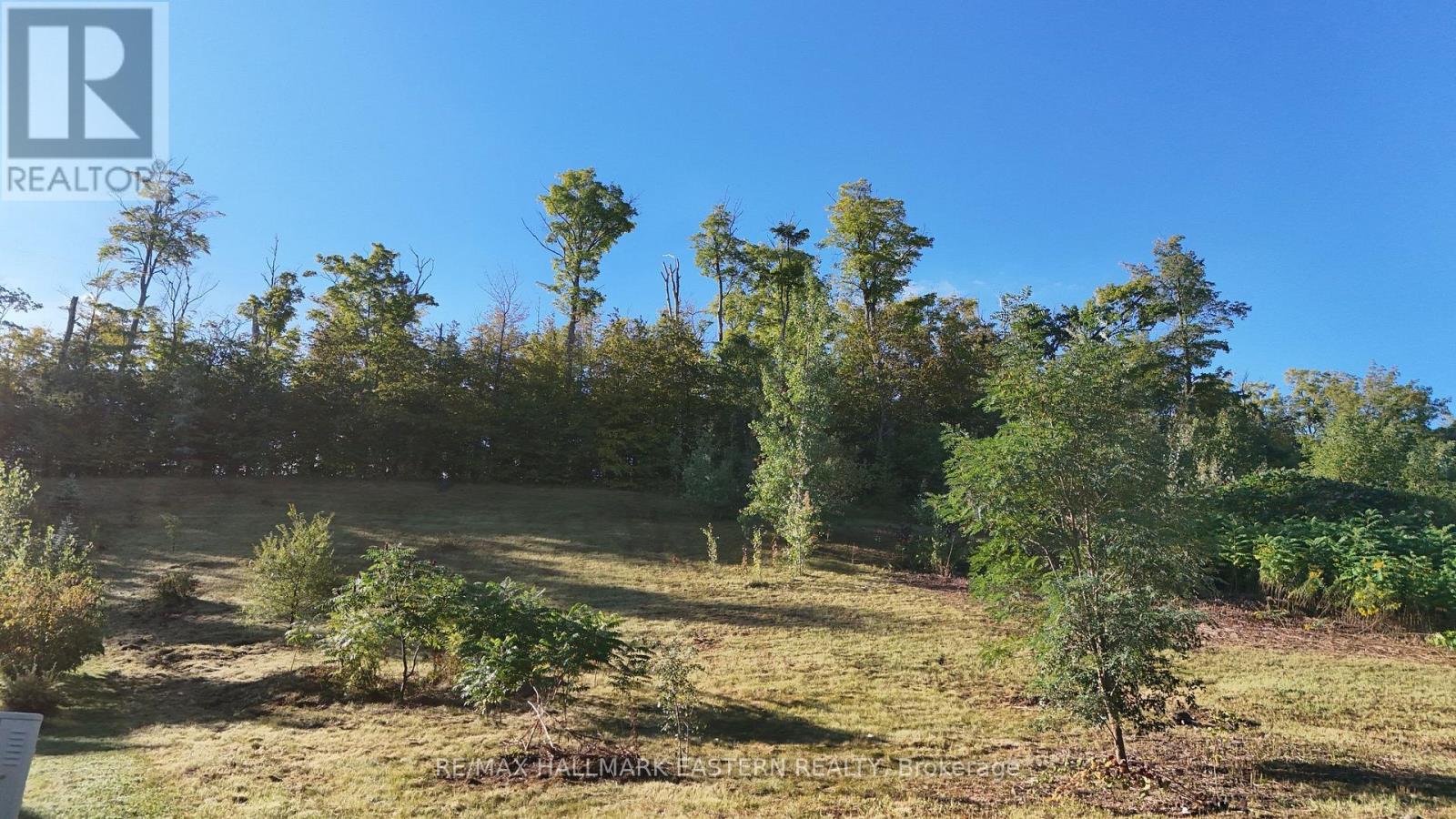406 Country Lane, Selwyn, Ontario  K9L 2A8 - Photo 16 - X13781480