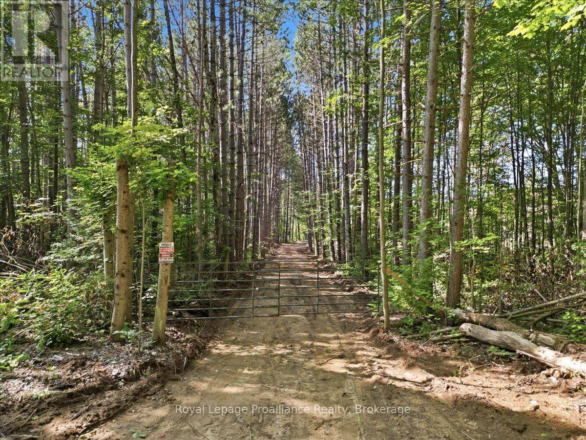 292 Hartin Road, Addington Highlands, Ontario  K0H 2G0 - Photo 1 - X13781524