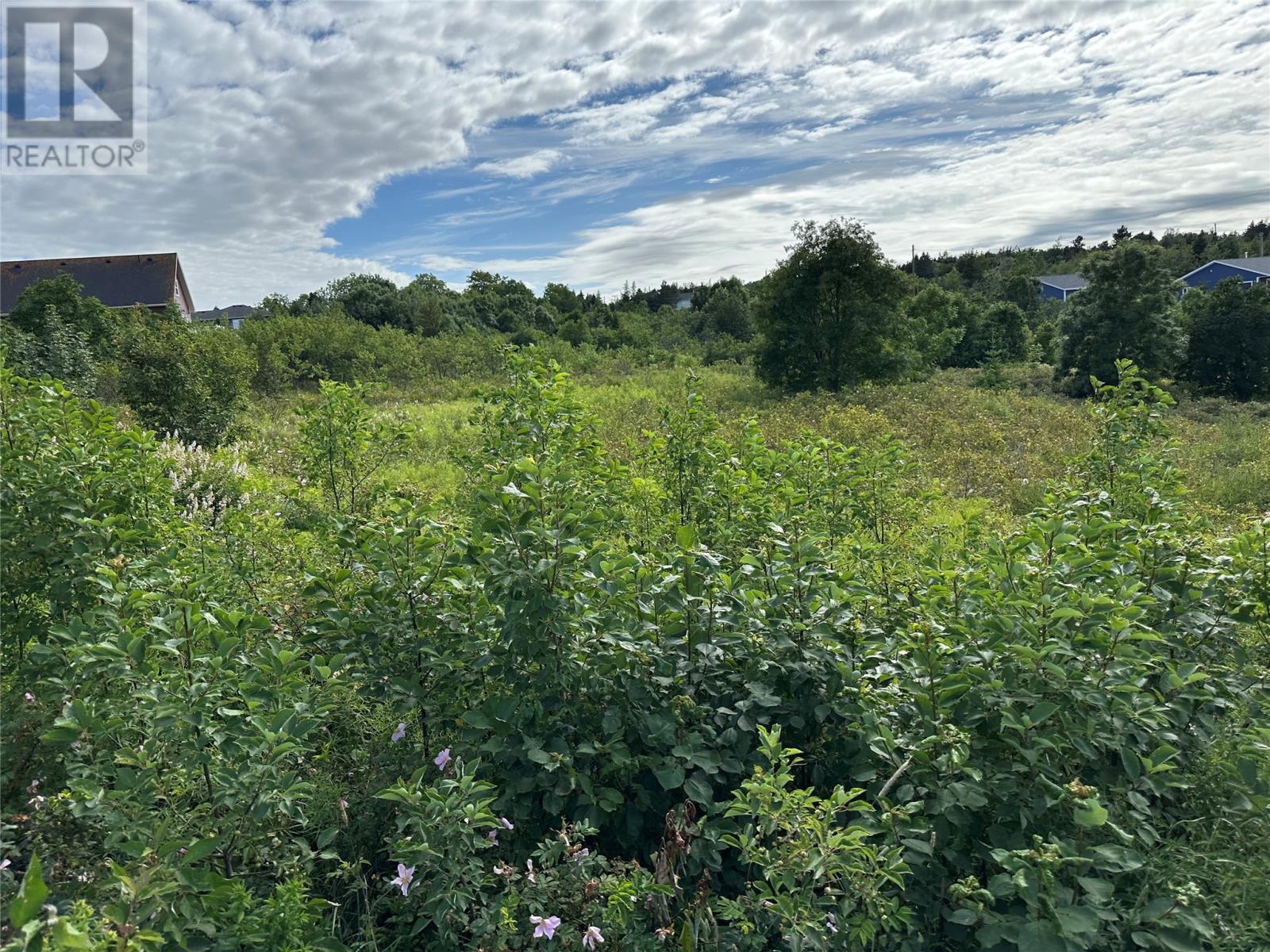 15 Spring Road, Hr. Main — photo 2