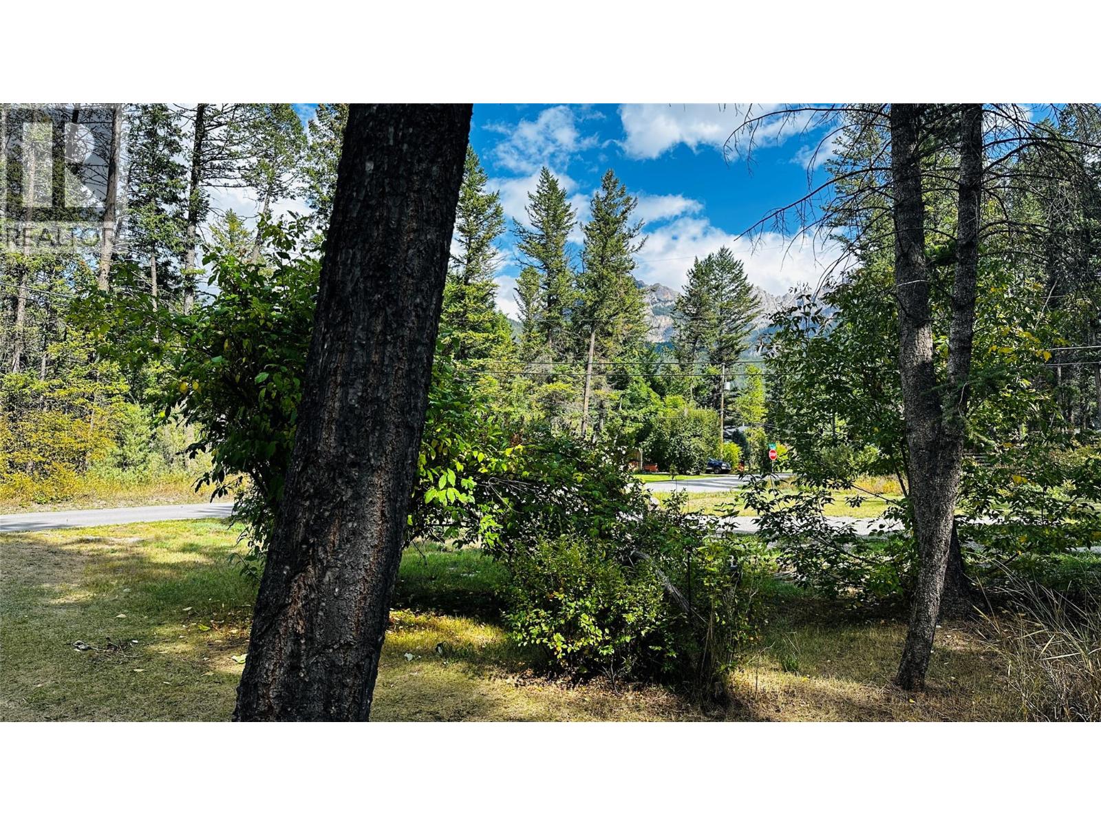 4888 Wills Road, Fairmont Hot Springs, British Columbia  V0B 1L1 - Photo 5 - 10400471