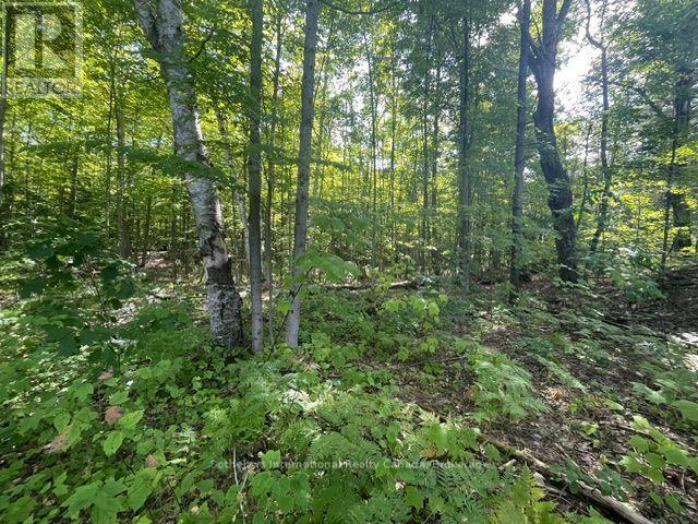 7859 Pineridge Road, Ramara, Ontario  L0K 2B0 - Photo 2 - S13731928