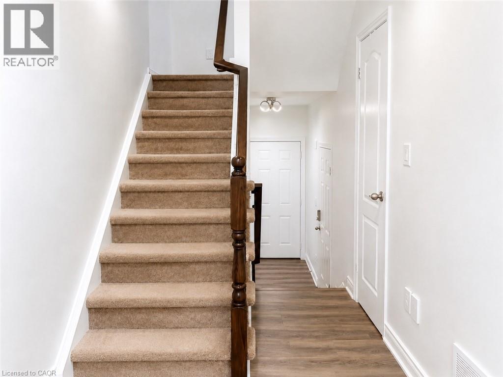 142 PALACEBEACH Trail