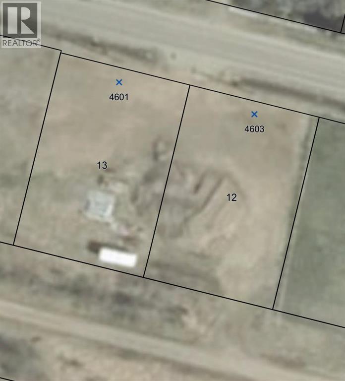 4601-4603 49 Avenue, Dewberry, Alberta  T0B 0E3 - Photo 2 - A2345204