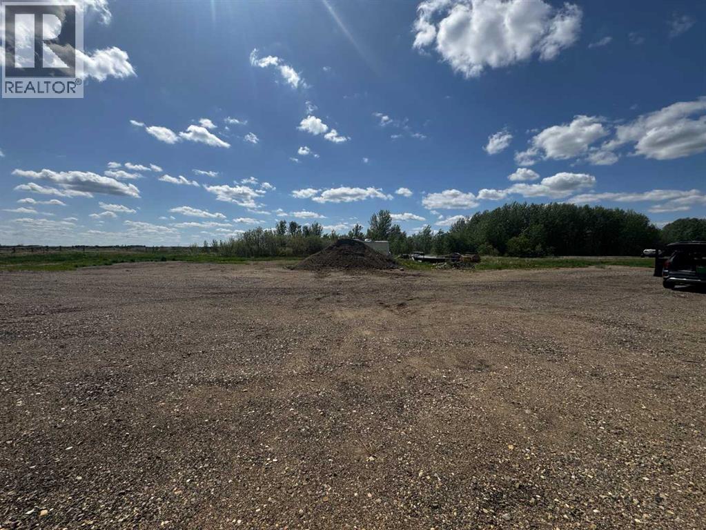 4601-4603 49 Avenue, Dewberry, Alberta  T0B 0E3 - Photo 4 - A2345204