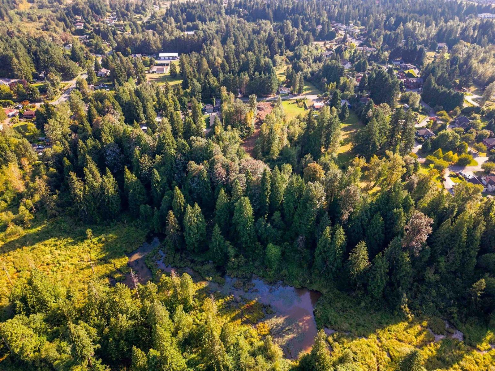 33181 Dewdney Trunk Road, Mission, British Columbia  V2V 6X7 - Photo 13 - C8081988