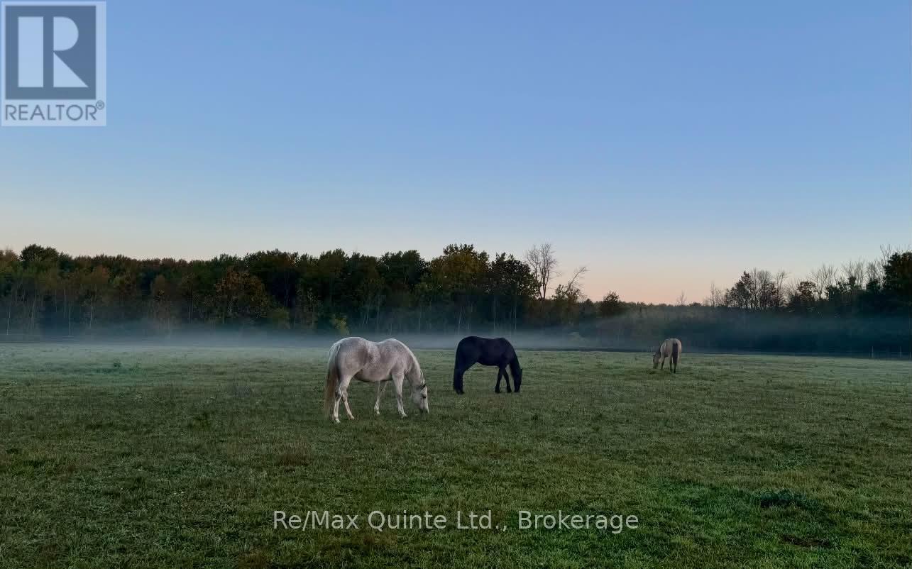 794 English Settlement Road, Quinte West, Ontario  K8V 5P7 - Photo 43 - X13781672