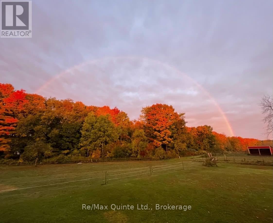 794 English Settlement Road, Quinte West, Ontario  K8V 5P7 - Photo 49 - X13781672