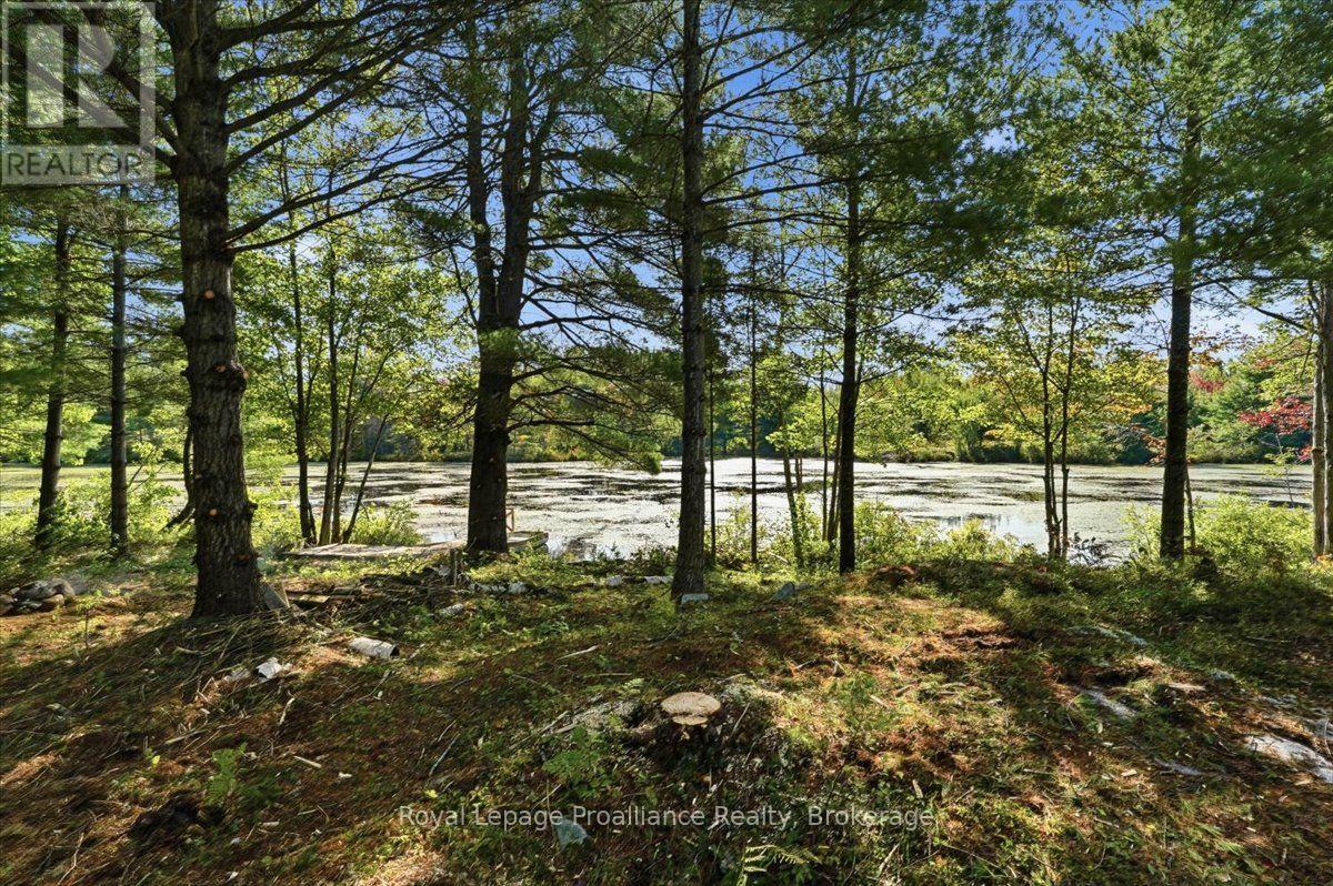 292 Hartin Road, Addington Highlands, Ontario  K0H 2G0 - Photo 11 - X13781524