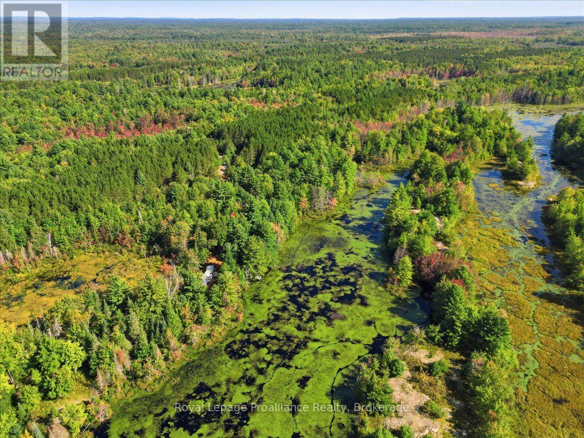 292 Hartin Road, Addington Highlands, Ontario  K0H 2G0 - Photo 15 - X13781524