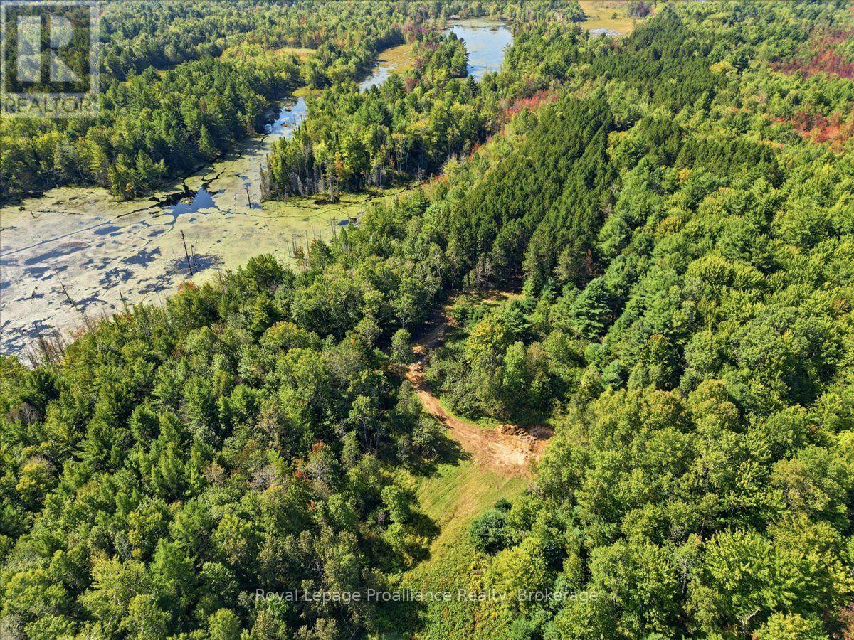 292 Hartin Road, Addington Highlands, Ontario  K0H 2G0 - Photo 14 - X13781524