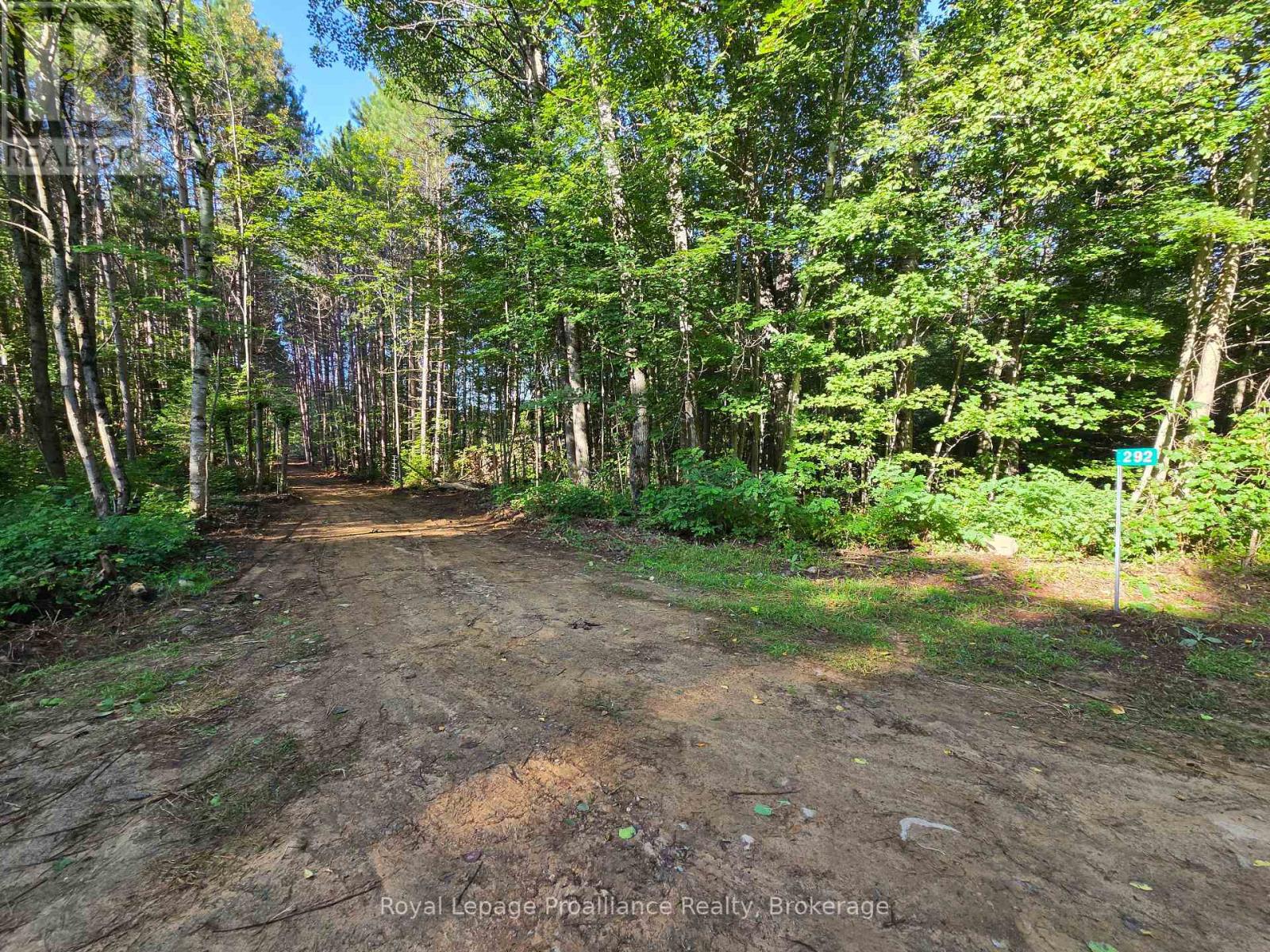 292 Hartin Road, Addington Highlands, Ontario  K0H 2G0 - Photo 19 - X13781524