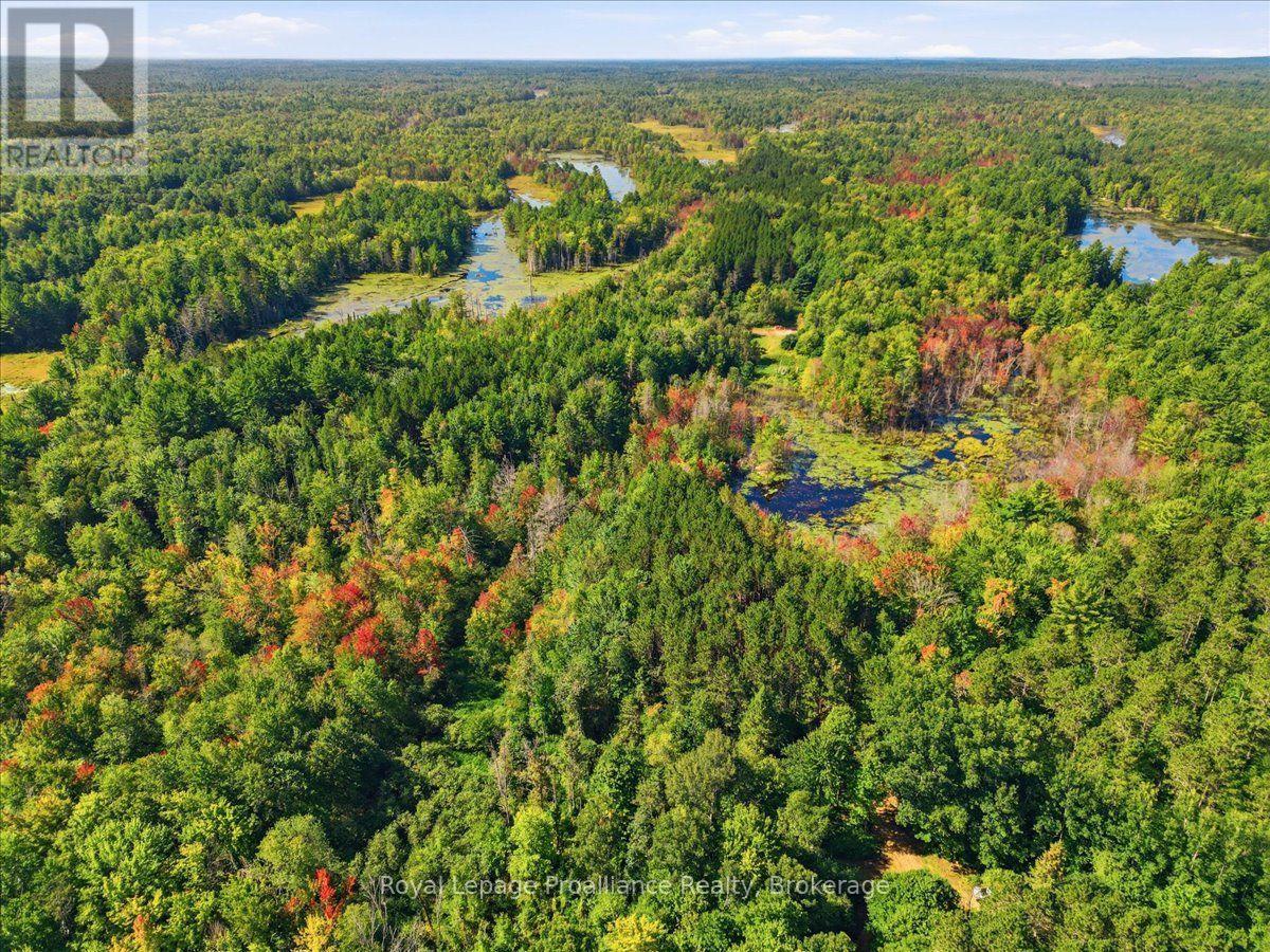 292 Hartin Road, Addington Highlands, Ontario  K0H 2G0 - Photo 17 - X13781524