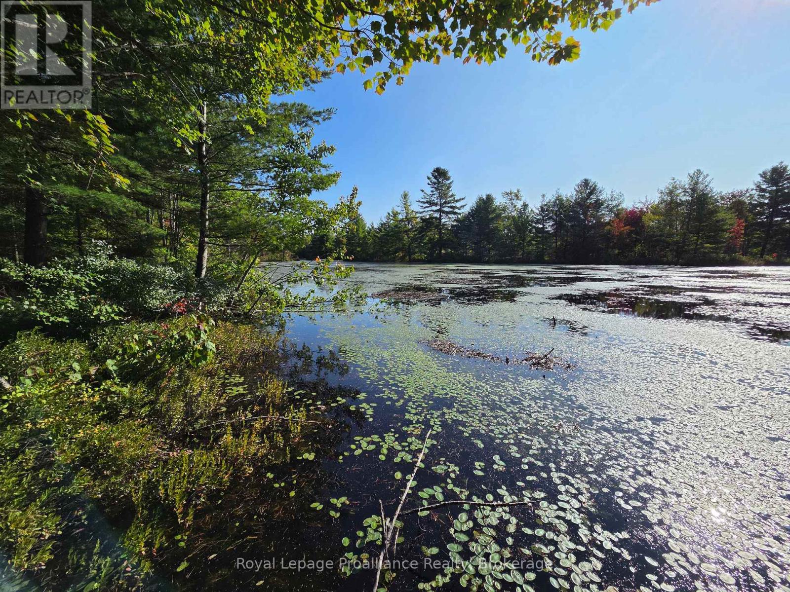 292 Hartin Road, Addington Highlands, Ontario  K0H 2G0 - Photo 25 - X13781524