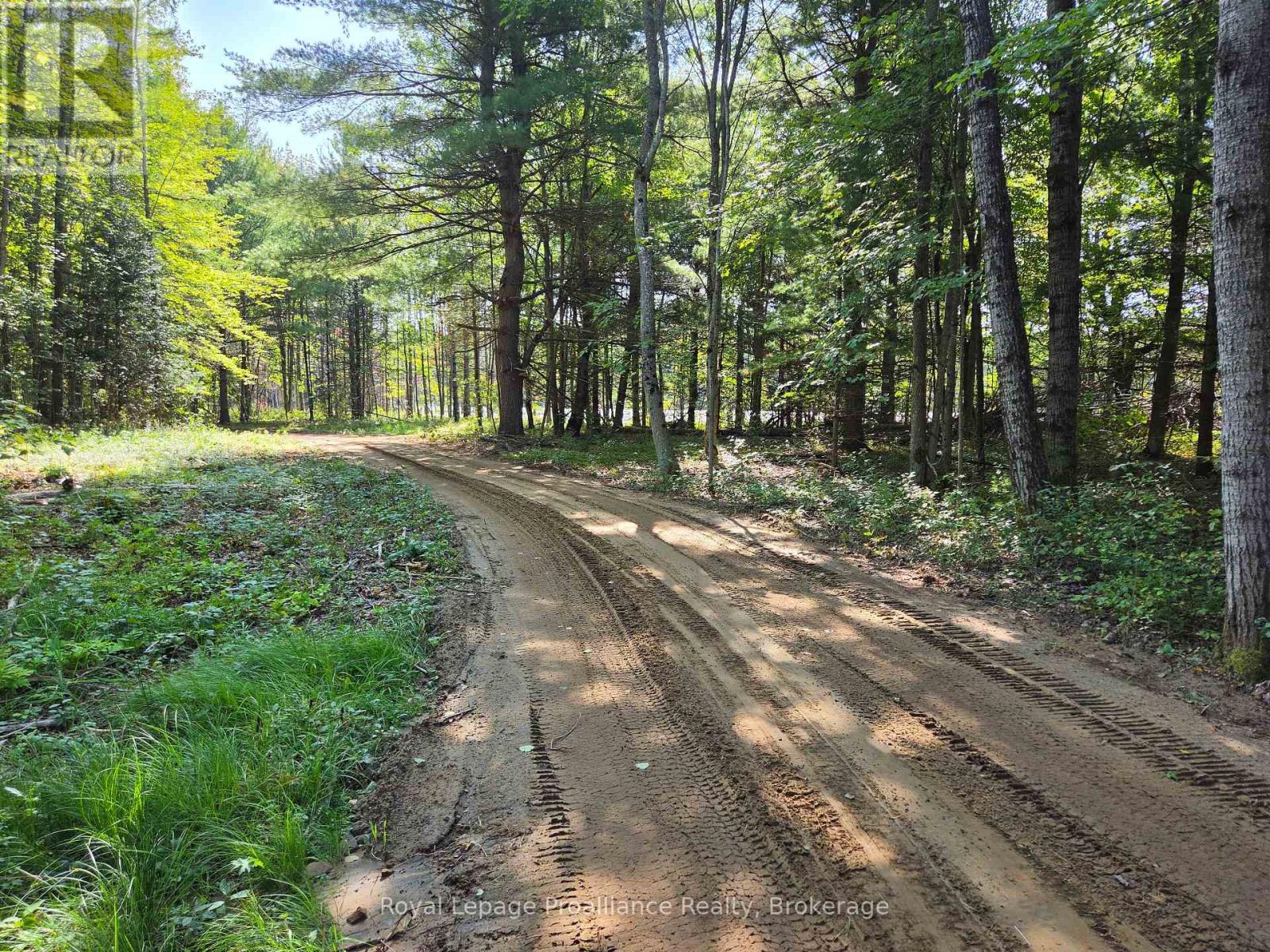 292 Hartin Road, Addington Highlands, Ontario  K0H 2G0 - Photo 39 - X13781524