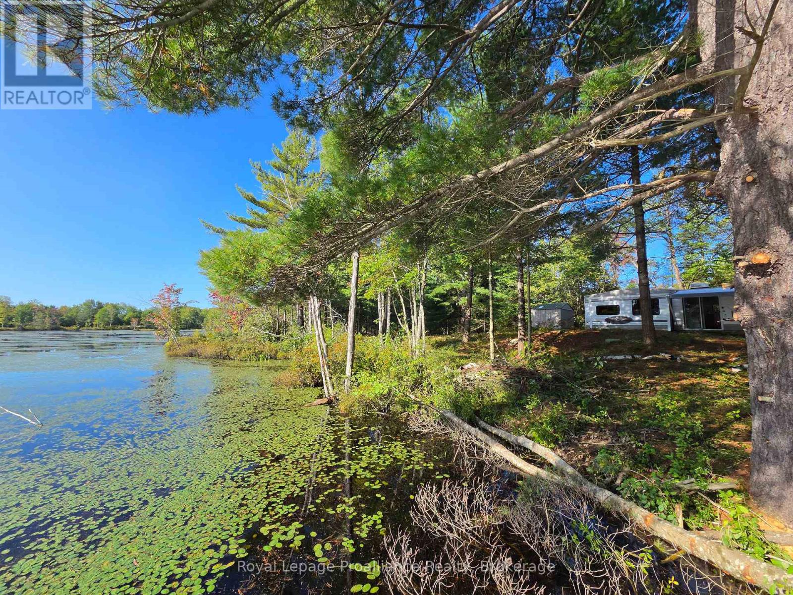 292 Hartin Road, Addington Highlands, Ontario  K0H 2G0 - Photo 28 - X13781524