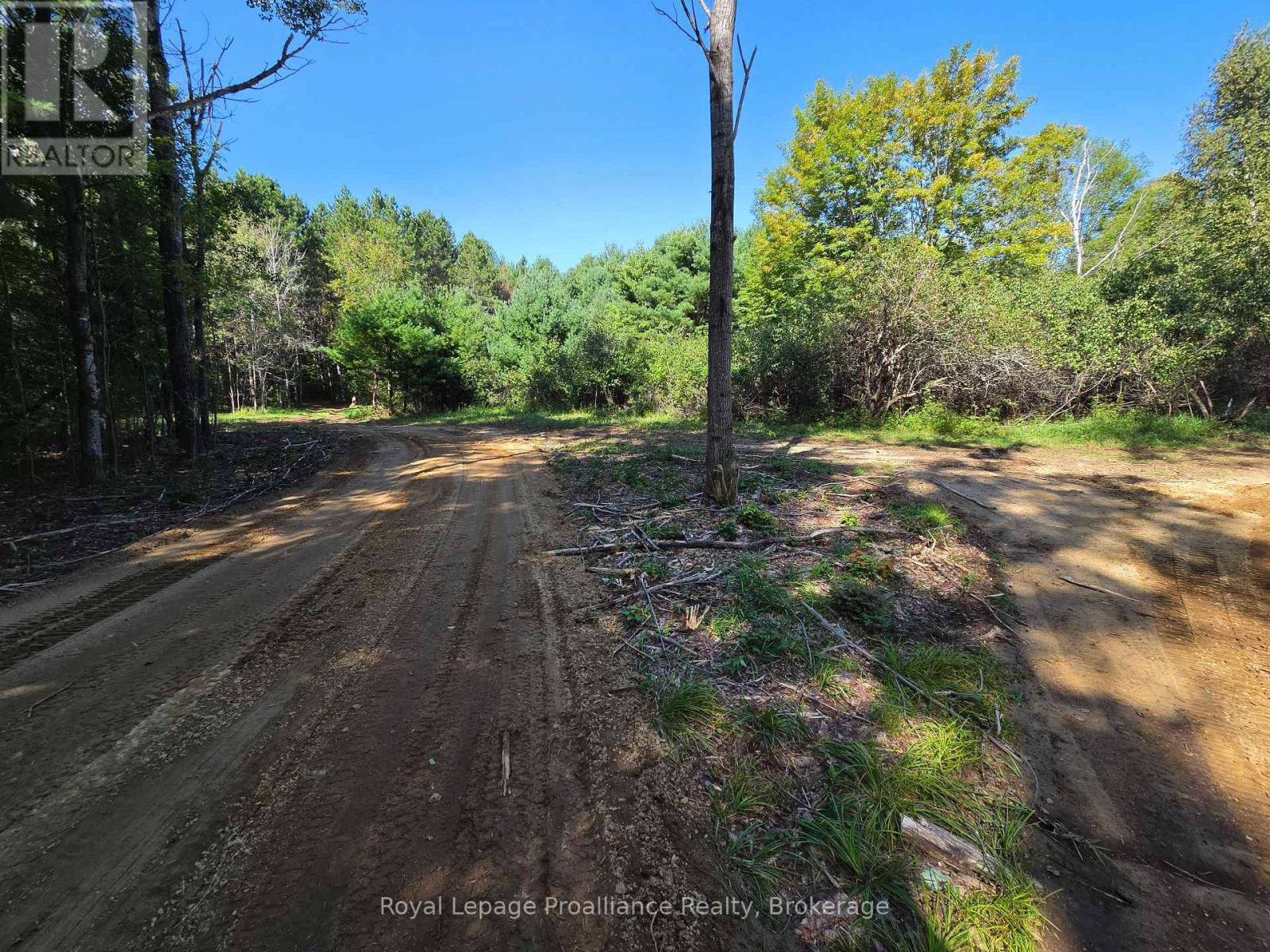 292 Hartin Road, Addington Highlands, Ontario  K0H 2G0 - Photo 36 - X13781524