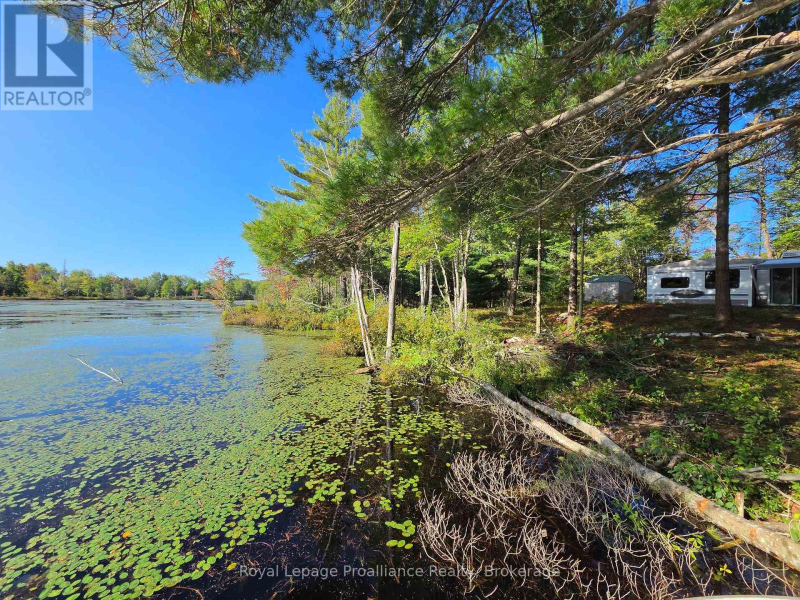 292 Hartin Road, Addington Highlands, Ontario  K0H 2G0 - Photo 29 - X13781524