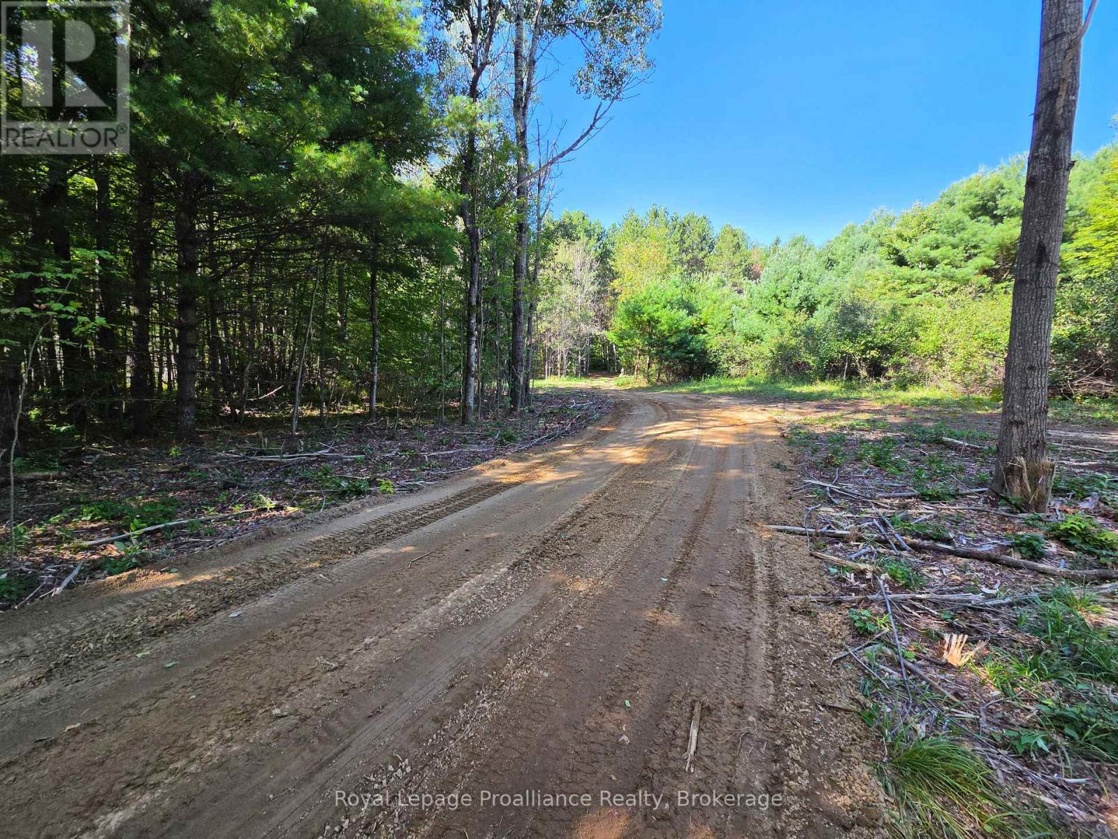 292 Hartin Road, Addington Highlands, Ontario  K0H 2G0 - Photo 38 - X13781524