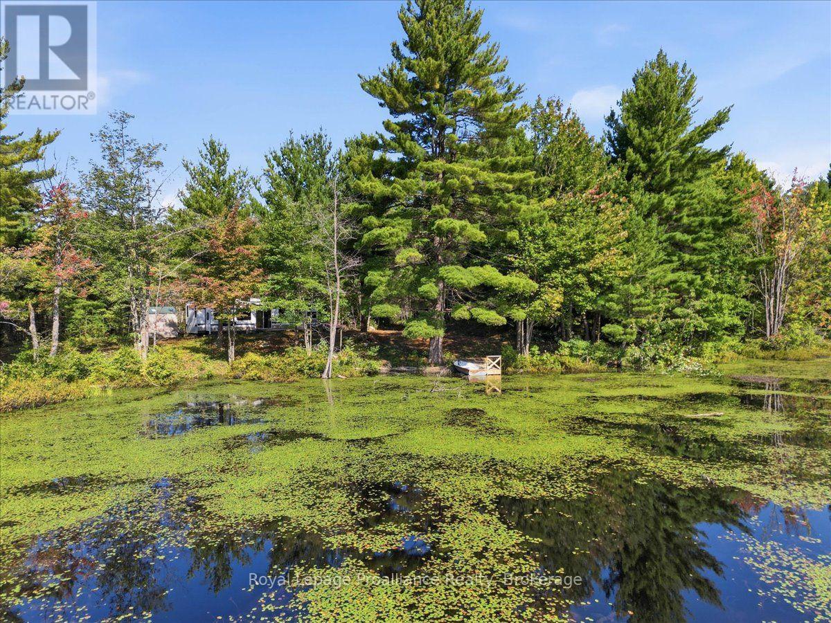 292 Hartin Road, Addington Highlands, Ontario  K0H 2G0 - Photo 3 - X13781524
