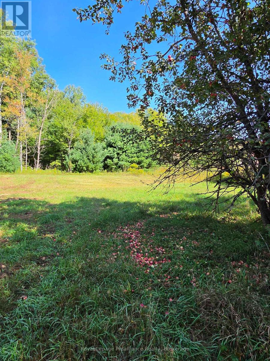 292 Hartin Road, Addington Highlands, Ontario  K0H 2G0 - Photo 35 - X13781524