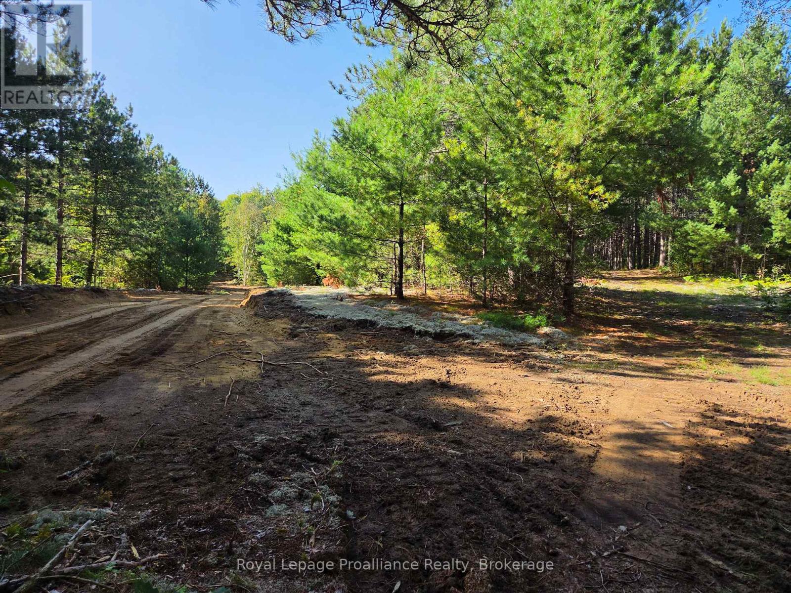 292 Hartin Road, Addington Highlands, Ontario  K0H 2G0 - Photo 32 - X13781524