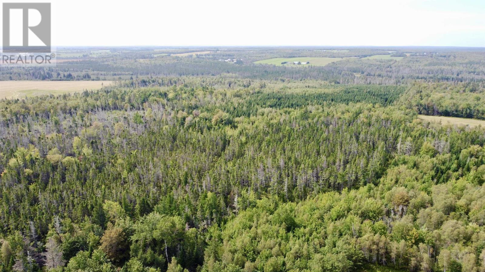 341 Cumberland Road, Upton, Prince Edward Island  C0A 2A0 - Photo 15 - 202623255