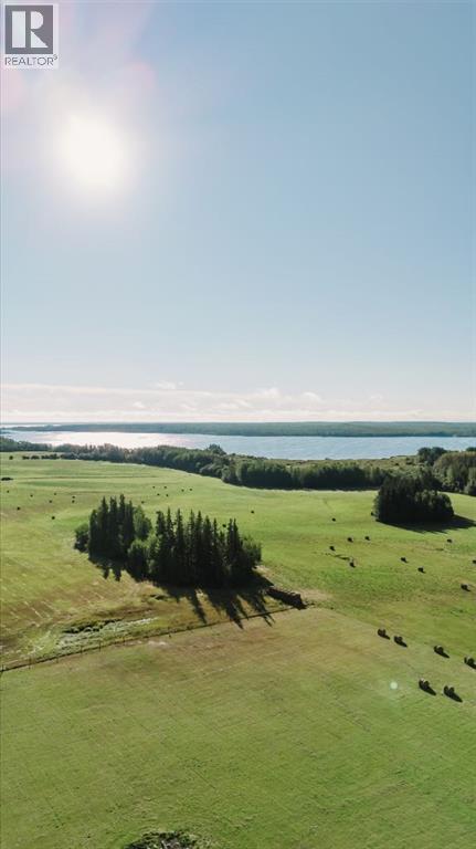 24451 Youngs Point Road, Valleyview, Alberta  T0H 3N0 - Photo 28 - A2342953