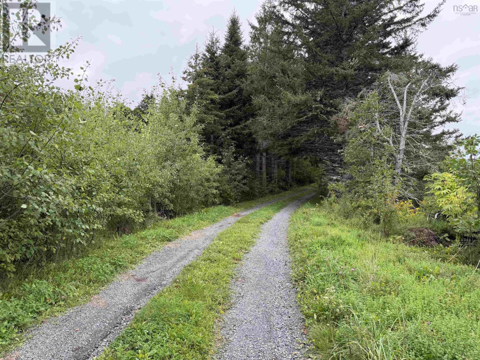3735 East River West Side Road, St. Pauls, Nova Scotia  B0K 1B0 - Photo 25 - 202623261