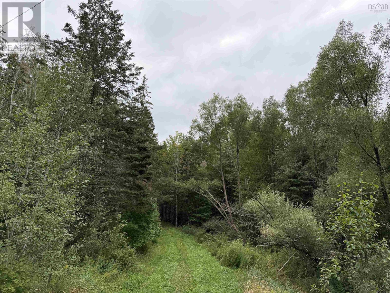 3735 East River West Side Road, St. Pauls, Nova Scotia  B0K 1B0 - Photo 24 - 202623261