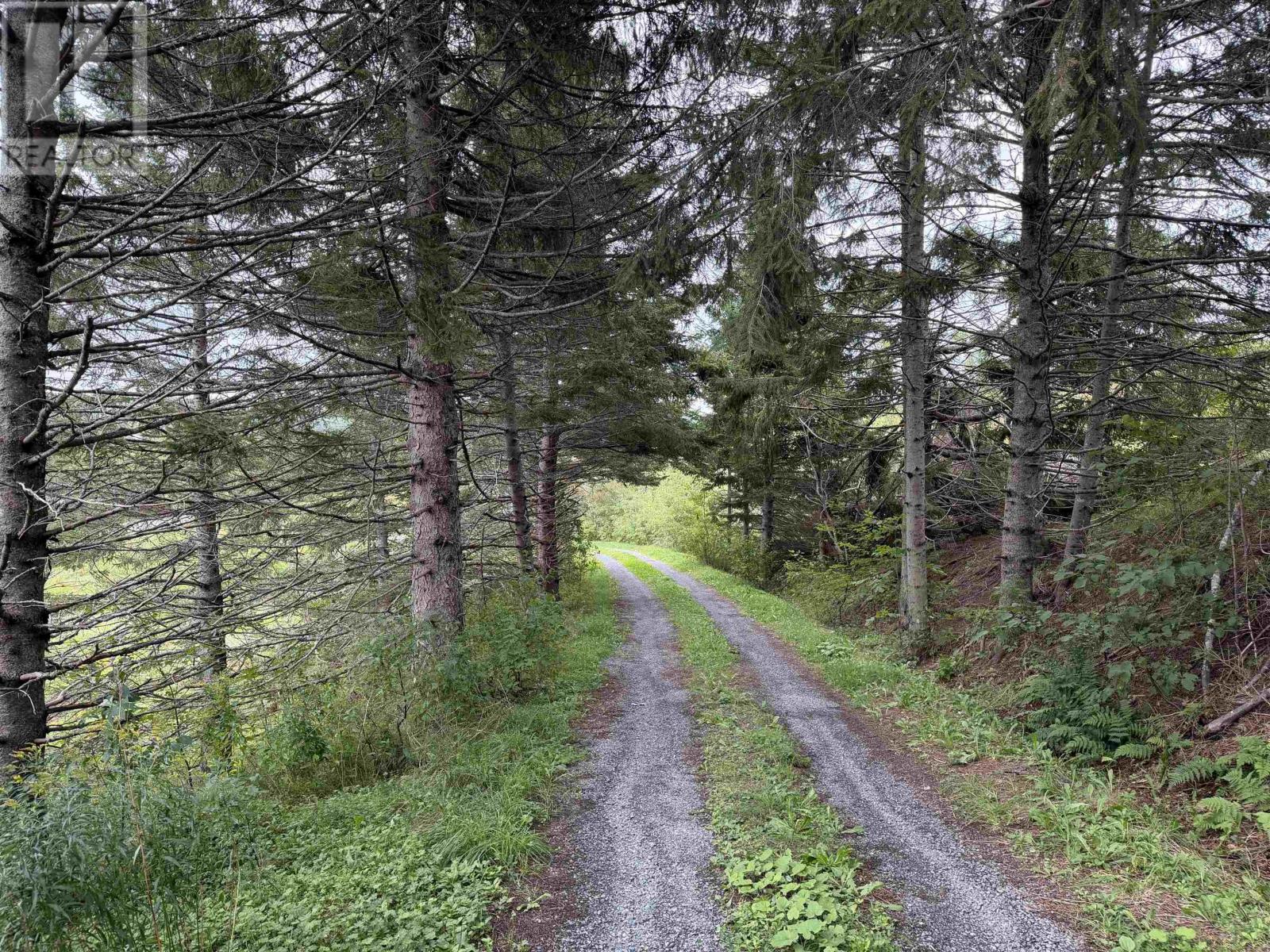 3735 East River West Side Road, St. Pauls, Nova Scotia  B0K 1B0 - Photo 26 - 202623261