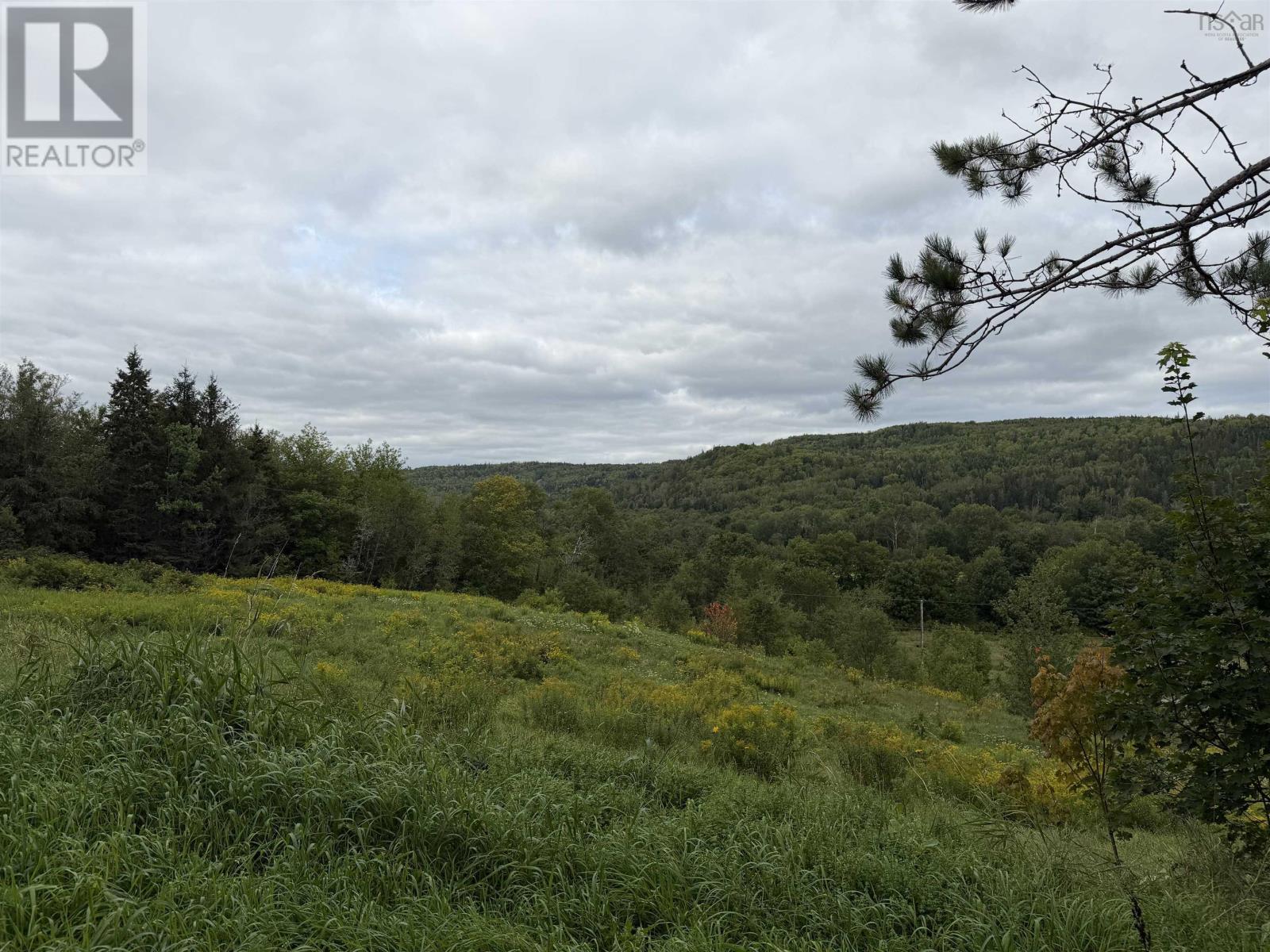3735 East River West Side Road, St. Pauls, Nova Scotia  B0K 1B0 - Photo 28 - 202623261
