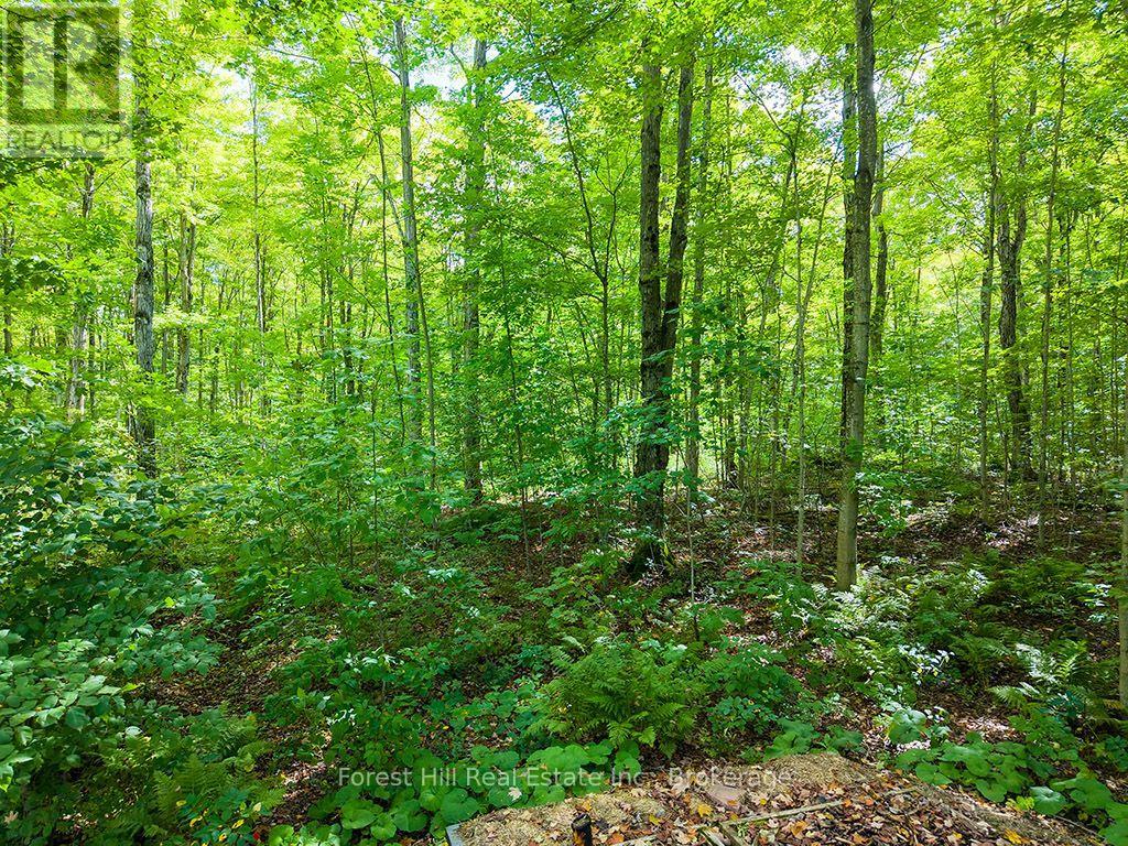 495595 Veterans Road S, Chatsworth, Ontario  N0H 1R0 - Photo 29 - X13782256