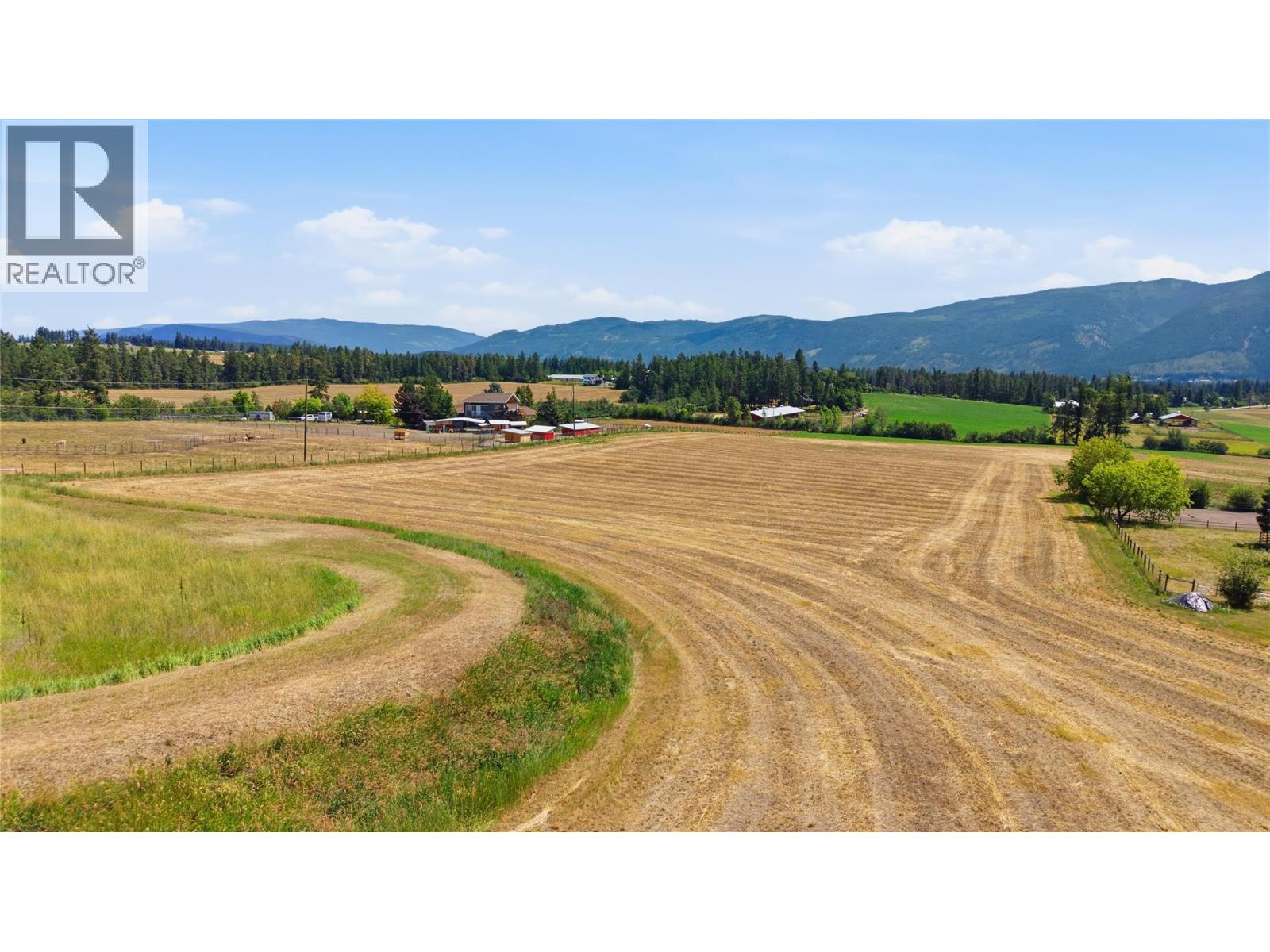 4376 Salmon River Road, Spallumcheen, British Columbia  V0E 1B4 - Photo 3 - 10392561