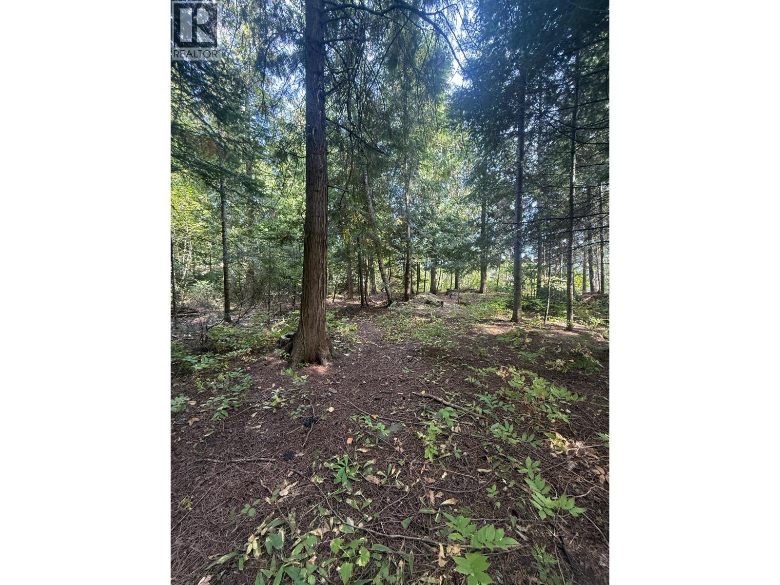 Dogwood Drive Lot# B, South Slocan, British Columbia  V0G 2G1 - Photo 3 - 10400404