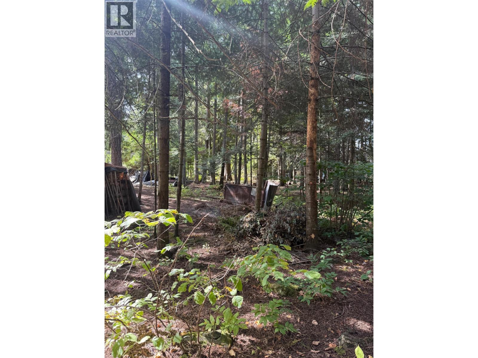 Dogwood Drive Lot# B, South Slocan, British Columbia  V0G 2G1 - Photo 6 - 10400404