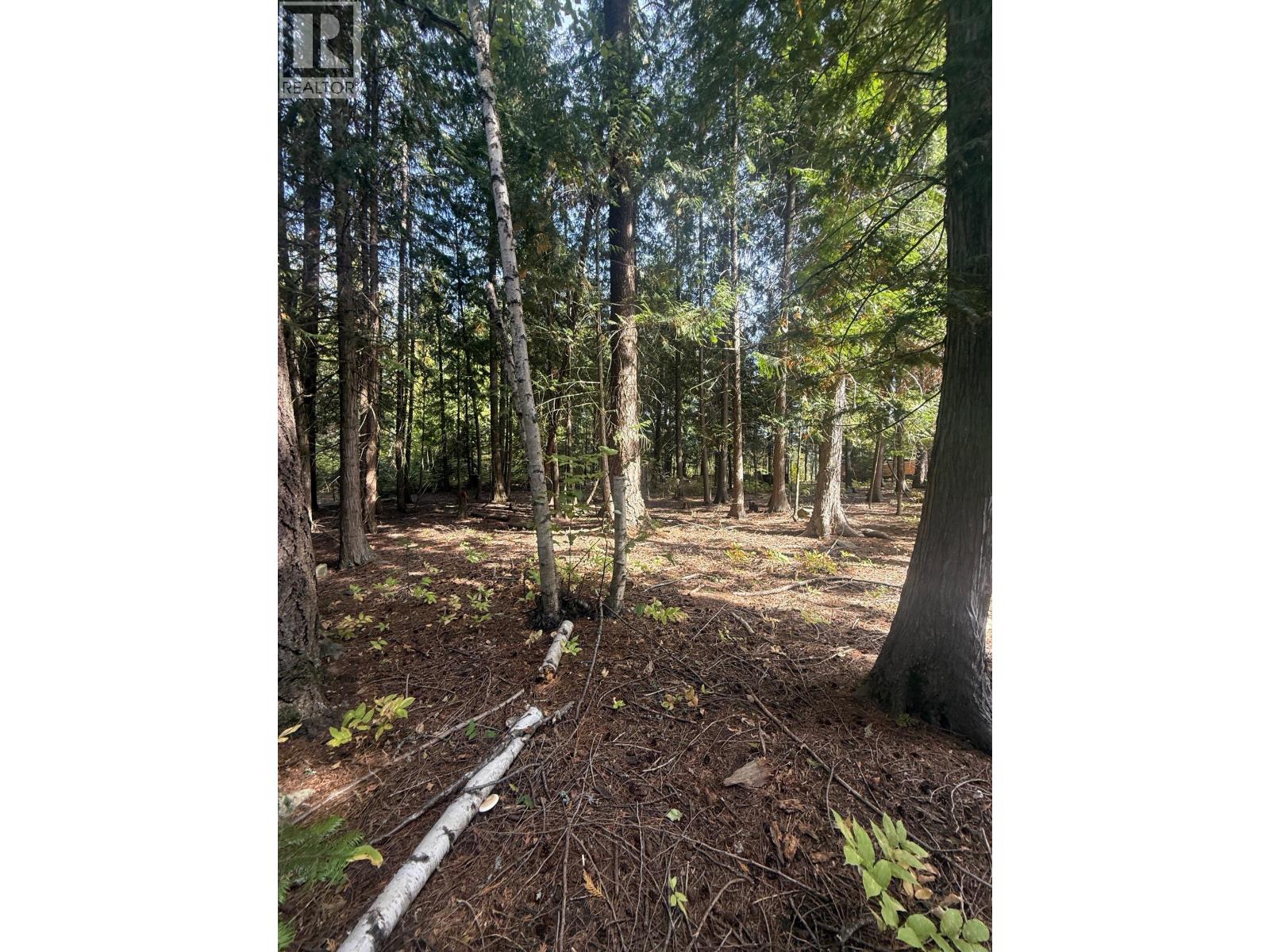Dogwood Drive Lot# B, South Slocan, British Columbia  V0G 2G1 - Photo 2 - 10400404