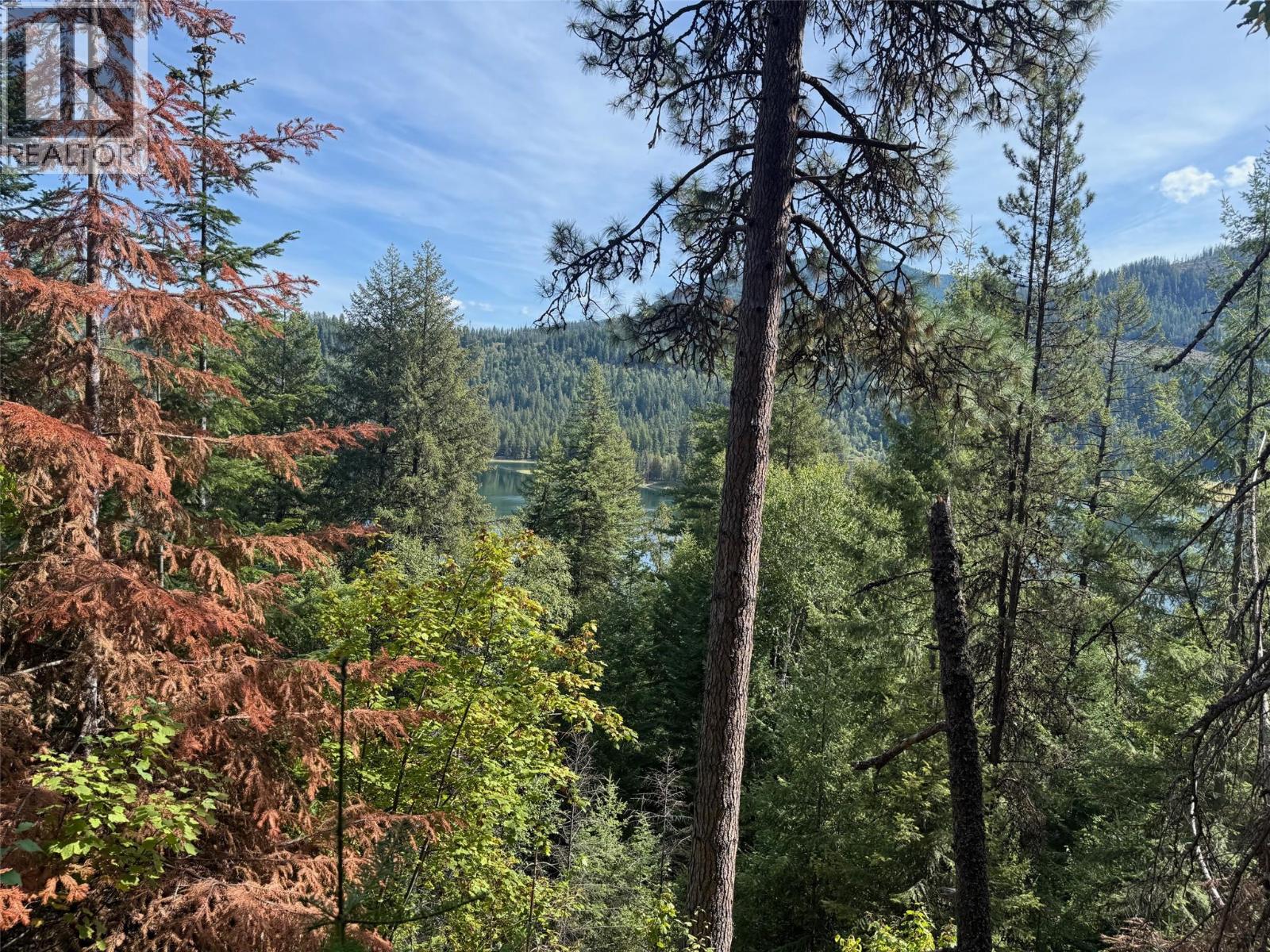 Dogwood Drive Lot# B, South Slocan, British Columbia  V0G 2G1 - Photo 4 - 10400404