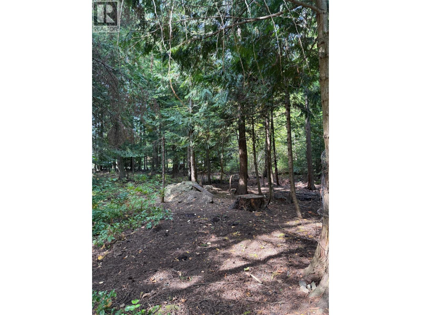 Dogwood Drive Lot# B, South Slocan, British Columbia  V0G 2G1 - Photo 5 - 10400404